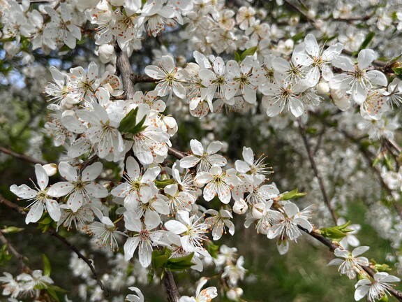 25-03-21 12-49-21 2490